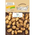 Ziemniaki sadzeniaki - Carrera - Cebule i Kłącza - W. Legutko