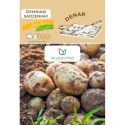 Ziemniaki sadzeniaki - Denar - Cebule i Kłącza - W. Legutko