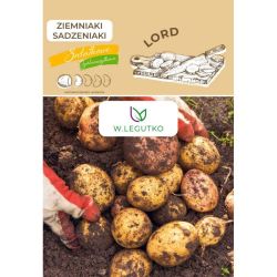 Ziemniaki sadzeniaki Lord 3szt. - Cebule i Kłącza - W. Legutko Ziemniaki sadzeniaki Lord 3szt. - Cebule i Kłącza - W. Legutko