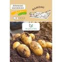 Ziemniaki sadzeniaki - Ranomi - Cebule i Kłącza - W. Legutko