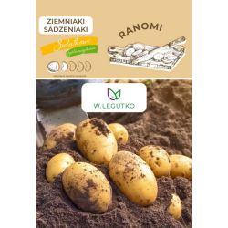 Ziemniaki sadzeniaki Ranomi 2szt. - Cebule i Kłącza - W. Legutko