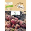 Ziemniaki sadzeniaki - Bellarosa - Cebule i Kłącza - W. Legutko