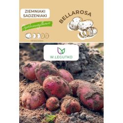 Ziemniaki sadzeniaki Bellarosa 2szt. - Cebule i Kłącza - W. Legutko
