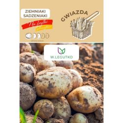 Ziemniaki sadzeniaki Gwiazda 3szt. - Cebule i Kłącza - W. Legutko Ziemniaki sadzeniaki Gwiazda 3szt. - Cebule i Kłącza - W. Legutko