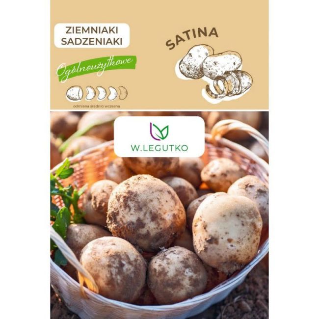 Ziemniaki sadzeniaki - Satina - Cebule i Kłącza - W. Legutko