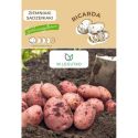 Ziemniaki sadzeniaki - Ricarda - Cebule i Kłącza - W. Legutko