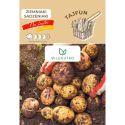 Ziemniaki sadzeniaki - Tajfun - Cebule i Kłącza - W. Legutko