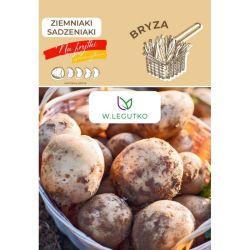 Ziemniaki sadzeniaki Bryza 3szt. - Cebule i Kłącza - W. Legutko