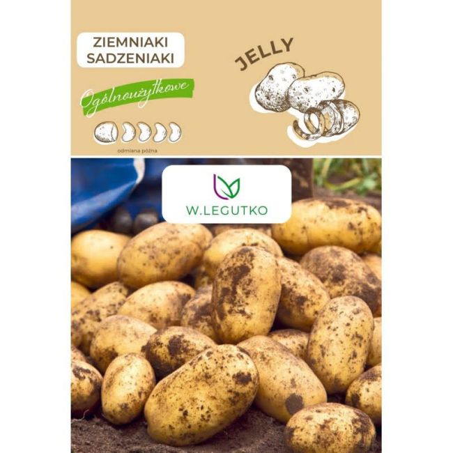 Ziemniaki sadzeniaki - Jelly - Cebule i Kłącza - W. Legutko