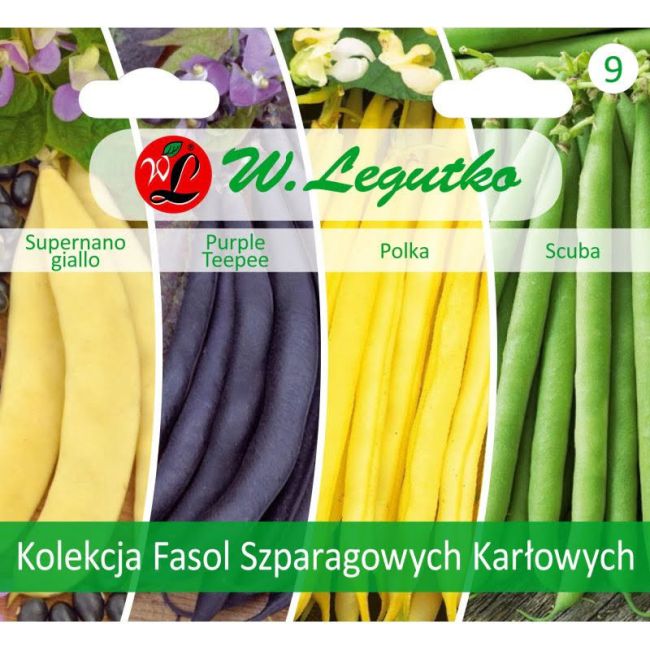 Kolekcja Fasol Szparagowych Karłowych - 4 odmiany - Outlet - W. Legutko Kolekcja Fasol Szparagowych Karłowych - 4 odmiany - Outlet - W. Legutko