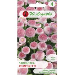 Stokrotka Pomponette różowa 0.10g - Nasiona - W. Legutko