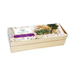Skrzynka Tulipan - mix - 5szt. - Cebule i Kłącza - W. Legutko Skrzynka Tulipan - mix - 5szt. - Cebule i Kłącza - W. Legutko