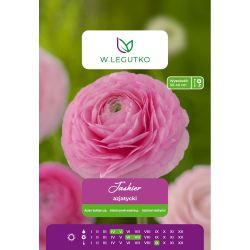 Jaskier azjatycki różowy 7szt. - Cebule i Kłącza - W. Legutko