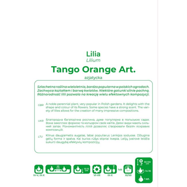 Lilia - Tango Orange Art - azjatycka - pomarańczowa - 1szt. - Cebule i Kłącza - W. Legutko