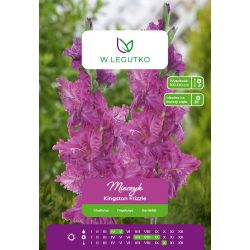 Mieczyk Kingston Frizzle różowy 5szt. - Cebule i Kłącza - W. Legutko