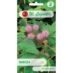 Mimoza różowa 0.20g - Nasiona - W. Legutko