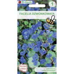 Facelia dzwonkowata niebieska 0.50g - Nasiona - W. Legutko Facelia dzwonkowata niebieska 0.50g - Nasiona - W. Legutko