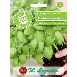 Bazylia właściwa BIO Italiano Classic 0.50g - Nasiona - W. Legutko