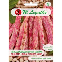 Fasola zwykła Borlotto lingua di fuoco nano 40g - Nasiona - W. Legutko