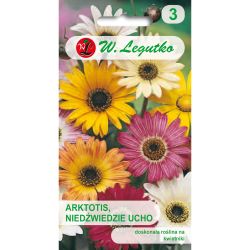 Arktotis, Niedźwiedzie ucho mieszanka 0.50g - Nasiona - W. Legutko Arktotis, Niedźwiedzie ucho mieszanka 0.50g - Nasiona - W. Legutko