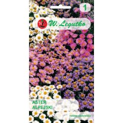 Aster alpejski mieszanka 0.30g - Nasiona - W. Legutko Aster alpejski mieszanka 0.30g - Nasiona - W. Legutko