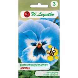 Bratek Adonis niebiesko-biały 0.40g - Nasiona - W. Legutko