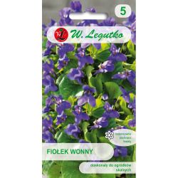 Fiołek wonny fioletowy 0.30g - Nasiona - W. Legutko Fiołek wonny fioletowy 0.30g - Nasiona - W. Legutko