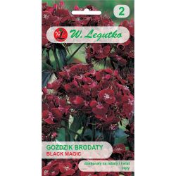 Goździk brodaty Black Magic czerwony 0.50g - Nasiona - W. Legutko Goździk brodaty Black Magic czerwony 0.50g - Nasiona - W. Legutko