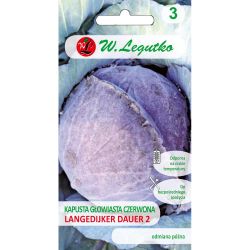 Kapusta głowiasta Langedijker Dauer 2 2g - Nasiona - W. Legutko