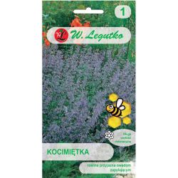 Kocimiętka niebieskofioletowe 0.20g - Nasiona - W. Legutko Kocimiętka niebieskofioletowe 0.20g - Nasiona - W. Legutko