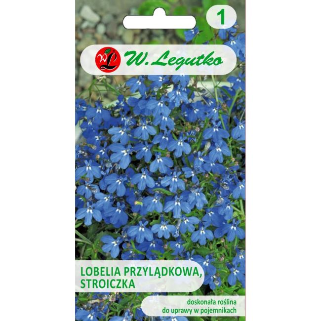 Lobelia przylądkowa, Stroiczka - niebieska - Nasiona - W. Legutko