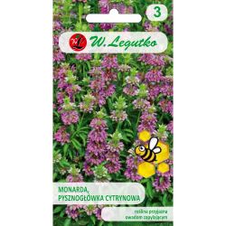 Monarda, Pysznogłówka cytrynowa purpurowo-fioletowa 0.10g - Nasiona - W. Legutko