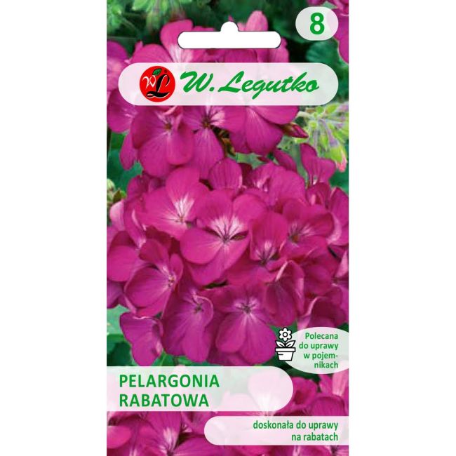 Pelargonia -  rabatowa Gama F1 - fioletowa - Nasiona - W. Legutko