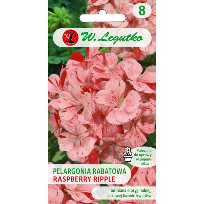 Pelargonia rabatowa - Raspbery Ripple - Nasiona kwiatów doniczkowych - W. Legutko