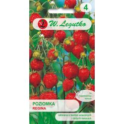 Poziomka Regina 0.10g - Nasiona - W. Legutko Poziomka Regina 0.10g - Nasiona - W. Legutko