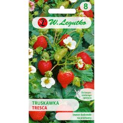 Truskawka Tresca 0.03g - Nasiona - W. Legutko