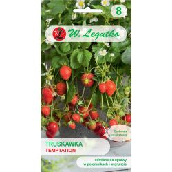 Truskawka Temptation 0.03g - Nasiona - W. Legutko