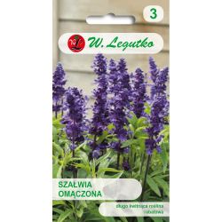 Szałwia omączona niebieska 0.20g - Nasiona - W. Legutko