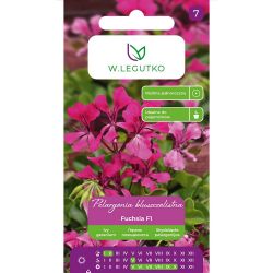 Pelargonia bluszczolistna Fuchsia F1 różowo-purpurowe 10nas. - Nasiona - W. Legutko