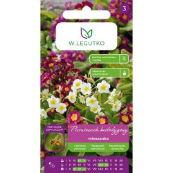 Pierwiosnek bezłodygowy mieszanka 0.10g - Nasiona - W. Legutko