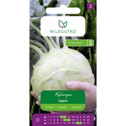 Kalarepa Gigant 2g - Nasiona - W. Legutko