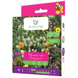 Kwietny dywan mieszanka kwiatów niskich 125g - Nasiona - W. Legutko Kwietny dywan mieszanka kwiatów niskich 125g - Nasiona - W. Legutko
