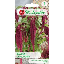Szarłat zwisły czerwony 1g - Nasiona - W. Legutko