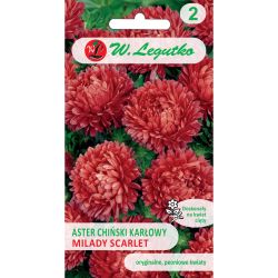 Aster chiński Milady Scarlet czerwony 1g - Nasiona - W. Legutko