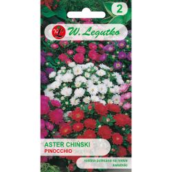 Aster chiński Pinocchio mieszanka 0.50g - Nasiona - W. Legutko