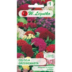 Celozja grzebieniasta mieszanka 0.30g - Nasiona - W. Legutko