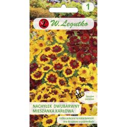 Nachyłek dwubarwny mieszanka 0.50g - Nasiona - W. Legutko Nachyłek dwubarwny mieszanka 0.50g - Nasiona - W. Legutko