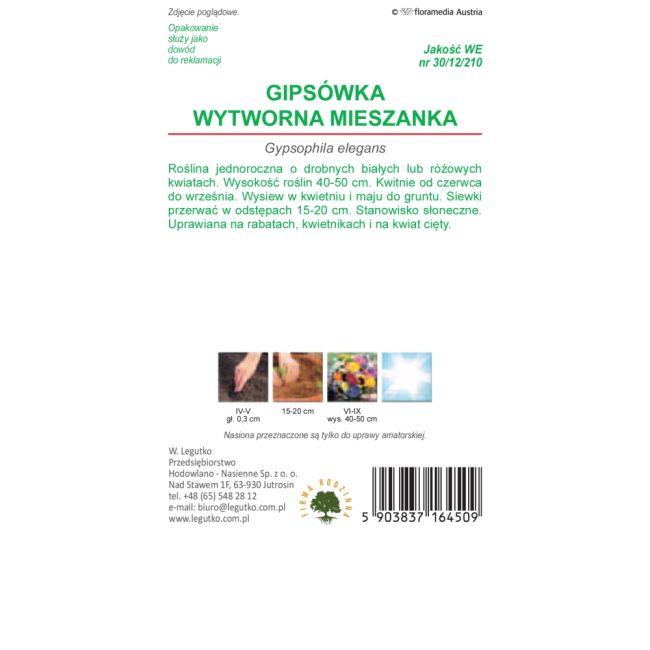 Gipsówka wytworna - mieszanka - Nasiona - W. Legutko