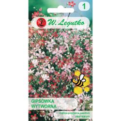 Gipsówka wytworna mieszanka 1g - Nasiona - W. Legutko