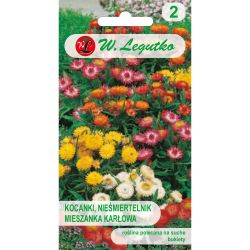 Kocanki, Nieśmiertelnik Tom Thumb mieszanka 0.50g - Nasiona - W. Legutko Kocanki, Nieśmiertelnik Tom Thumb mieszanka 0.50g - Nasiona - W. Legutko